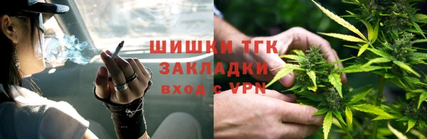 амф Бронницы