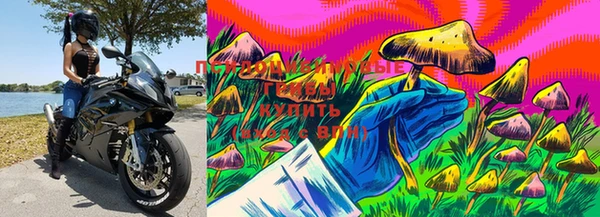 соль ск Бугульма
