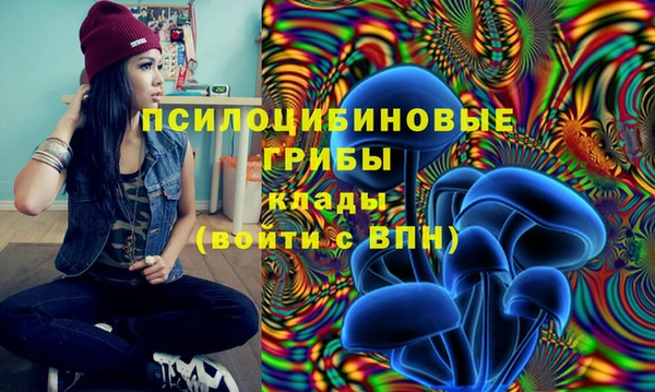 амф Бронницы