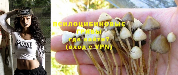 a pvp Бородино